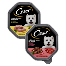 Cesar classic of cuisine